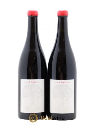 Vin de France V Sens Jérôme Bretaudeau - Domaine de Bellevue  2020