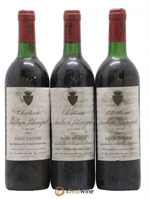 Château Andron Blanquet Cru Bourgeois  1989