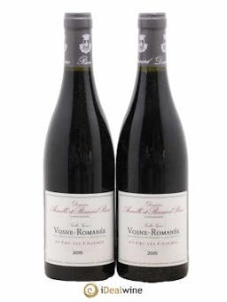 Vosne-Romanée 1er Cru Les Chaumes Armelle Et Bernard Rion 2015 - Lot of 2 Bottles