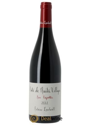 Côte de Nuits-Villages Aux Vignottes Antoine Lienhardt 2022 - Lot de 1 Bottle