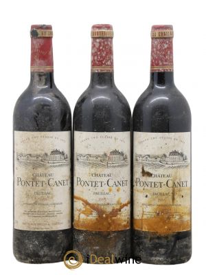 Château Pontet Canet 5ème Grand Cru Classé  1995 - Lot of 3 Bottles