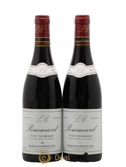 Pommard 1er Cru Les Frémiers Lucien Boillot & Fils (Domaine)  2014 - Lot of 2 Bottles