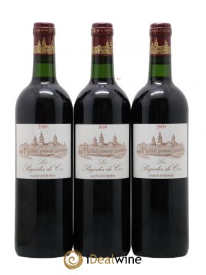 Les Pagodes de Cos Second Vin  2009 - Lot de 3 Bouteilles