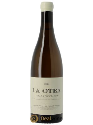 Vino de la Tierra de Castilla y León Majuelo La Otea Pie Franco Cantalapiedra Viticultores 2021 - Lot de 1 Bottiglia