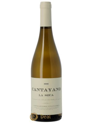 Vino de la Tierra de Castilla y León Cantayano Cantalapiedra Viticultores 2022 - Lot de 1 Flasche