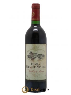 Château Chasse Spleen 1993 - Lot de 1 Bottle