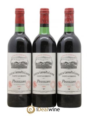 Château Grand Puy Lacoste 5ème Grand Cru Classé 1981 - Lot de 3 Bottles