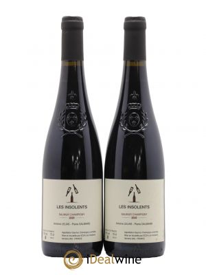 Saumur-Champigny Domaine Les Insolents 2020 - Lot of 2 Bottles