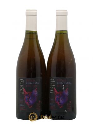 Coteaux Bourguignons Domaine Chapuis Frères 2020 - Lot of 2 Bottles