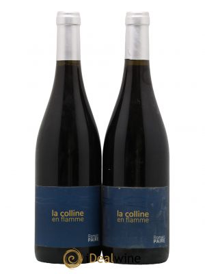 Vin de France La Colline en flamme Romain Paire 2021 - Lot of 2 Bottles