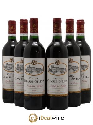 Château Chasse Spleen  1996 - Lotto di 6 Bottiglie