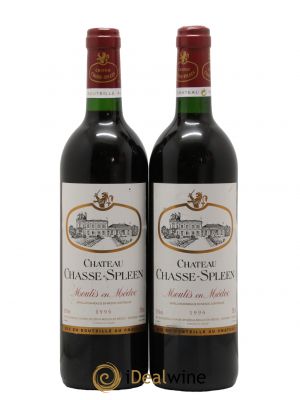 Château Chasse Spleen  1996 - Posten von 2 Flaschen