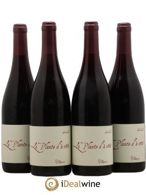 Vin de France La Plante d'à côté Naudin-Ferrand (Domaine)  2022 - Posten von 4 Flaschen