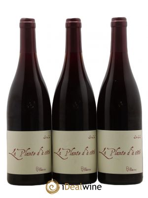 Vin de France La Plante d'à côté Naudin-Ferrand (Domaine)  2022 - Lot of 3 Bottles