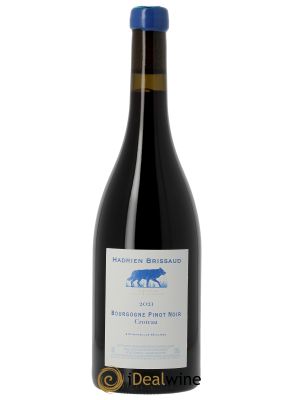 Bourgogne Pinot Noir Croteau Hadrien Brissaud 2021 - Lot de 1 Bouteille