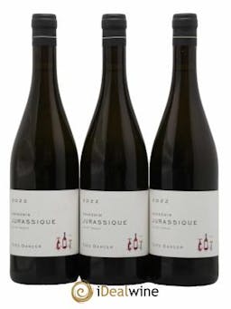 Vin de France Jurassique Savagnin Domaine Théo Dancer 2022 - Lot of 3 Bottles