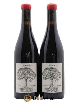 Vin de France Statera Jérôme Bretaudeau - Domaine de Bellevue 2020 - Lot de 2 Bouteilles