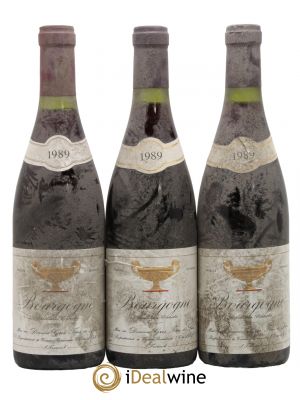 Bourgogne Gros Frère & Soeur 1989 - Lot de 3 Bottles