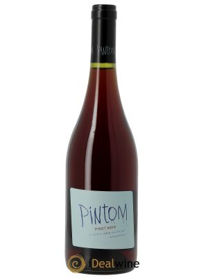 Mendoza Pintom Pinot Noir Del Frio Canopus  2020 - Lot of 1 Bottle