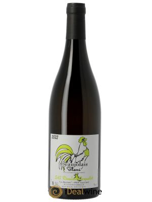 Beaujolais blanc Damien Coquelet  2022 - Lot of 1 Bottle