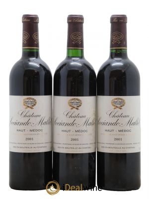 Château Sociando Mallet 2001 - Lot de 3 Bottles