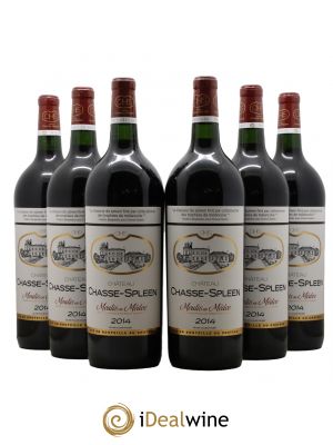 Château Chasse Spleen  2014 - Lot of 6 Magnums