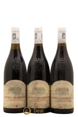 Gevrey-Chambertin 1er Cru Les Cazetiers Domaine Jean-Philippe Marchand 1995 - Lotto di 3 Bottiglie
