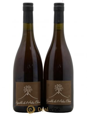 Vin de France Les Fesses Vignoble de l'Arbre Blanc  2016 - Lot of 2 Bottles