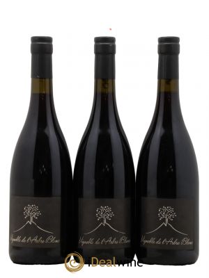 Vin de France Les Petites Orgues Vignoble de l'Arbre Blanc  2016 - Lot of 3 Bottles