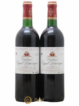 Saint-Émilion Grand Cru Chateau Lapet Duverger 1995 - Lot de 2 Bottiglie