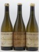 Vin de France Le Jambon Blanc - La Grande Bruyère - Philippe Jambon 2004 - Lot of 3 Bottles