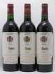 Madiran Château Montus-Prestige Alain Brumont  1995 - Lot of 3 Bottles