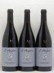 Tavel L'Anglore  2019 - Lot of 6 Bottles