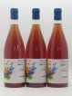 Vin de France Vin de France 1er 20 Domaine Rafaël Raybois (no reserve) 2020 - Lot of 6 Bottles