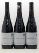 Saumur-Champigny Roches Neuves (Domaine des) (no reserve) 2017 - Lot of 6 Bottles
