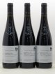 Saumur-Champigny Roches Neuves (Domaine des) (no reserve) 2017 - Lot of 6 Bottles