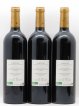 Gaillac Syrah Domaine Plageoles (no reserve) 2012 - Lot of 6 Bottles