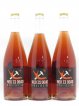 Vin de France Pet Nat Red is Dead Le Sot de l'Ange (no reserve) 2015 - Lot of 3 Bottles