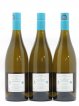 Anjou Le Raguenet Domaine Vincendeau (no reserve) 2016 - Lot of 6 Bottles