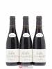 Saint-Nicolas de Bourgueil Les Quarterons Xavier Amirault (Domaine) (no reserve) 2014 - Lot of 6 Half-bottles