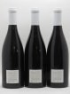 Sancerre Vendanges Entières Vincent Pinard (Domaine) (no reserve) 2017 - Lot of 3 Bottles