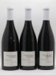 Sancerre Vendanges Entières Vincent Pinard (Domaine) (no reserve) 2017 - Lot of 3 Bottles