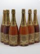 Brut Champagne Barnier (no reserve)  - Lot of 6 Bottles