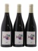 Vin de France Métis Labet (Domaine)  2020 - Lot de 3 Bouteilles