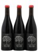 Vin de France Merlot Ornaté Jérôme Bretaudeau - Domaine de Bellevue  2021 - Lot de 3 Bouteilles