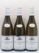 Corton-Charlemagne Grand Cru Domaine Simon Bize 2015 - Lot of 6 Bottles