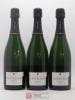 Champagne Brut Millésimé De Castelnau 2003 - Lot de 6 Bouteilles