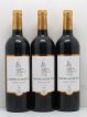 Larose de Gruaud Second vin  2012 - Lot of 12 Bottles