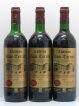 Premières-Côtes-de-Blaye (Blaye-Côtes-de-Bordeaux) Chateau Haut Terrier 1995 - Lot of 6 Bottles
