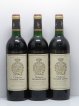 Château Gruaud Larose 2ème Grand Cru Classé  1989 - Lot of 12 Bottles